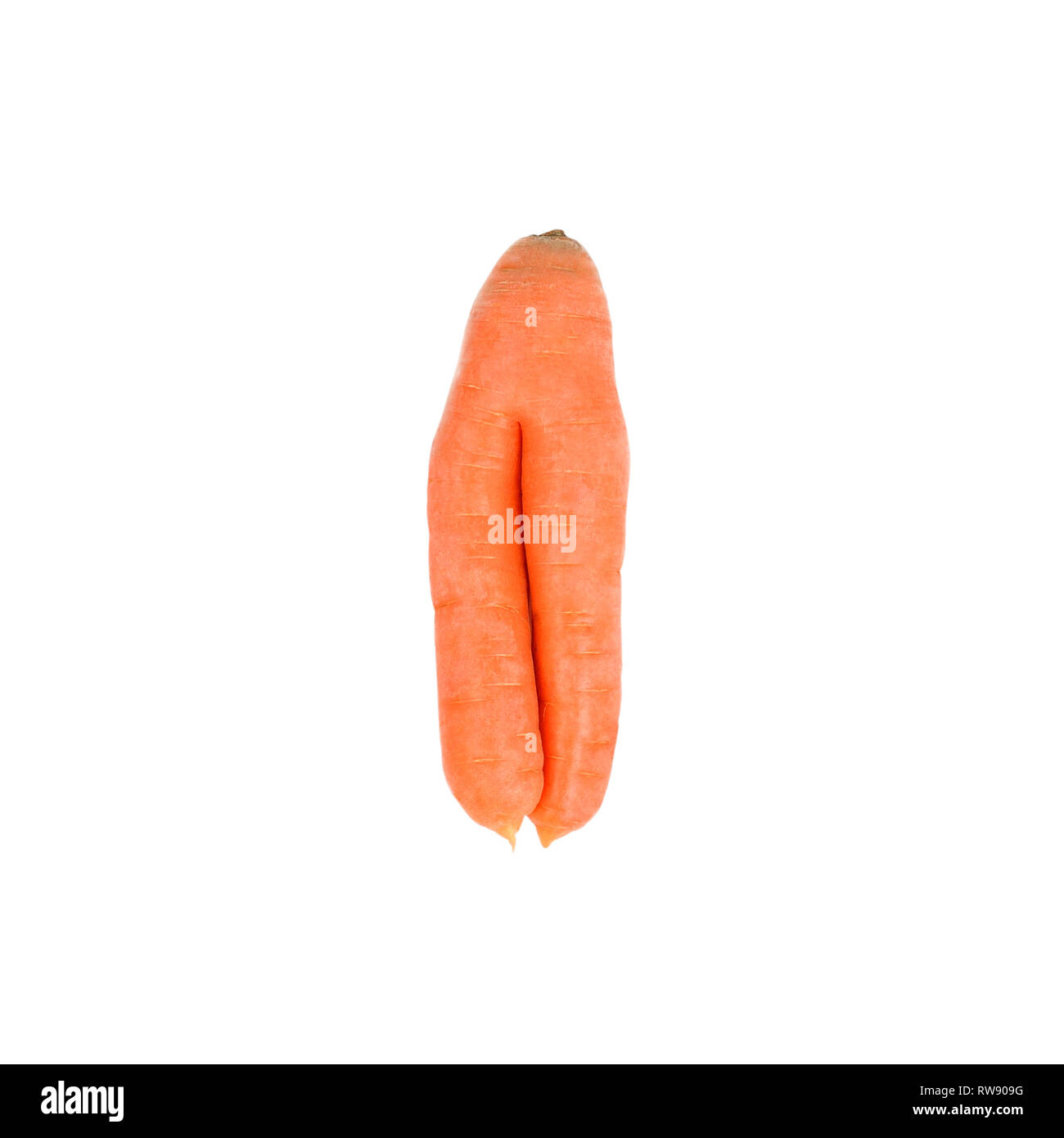 Ugly food .It taste just as good as perfect-looking food .Nutritious and delicious as all the other carrots. Stock Photo