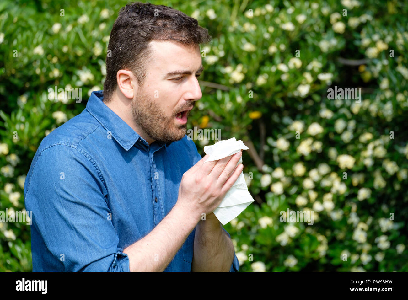 Allergic asthma hires stock photography and images Alamy