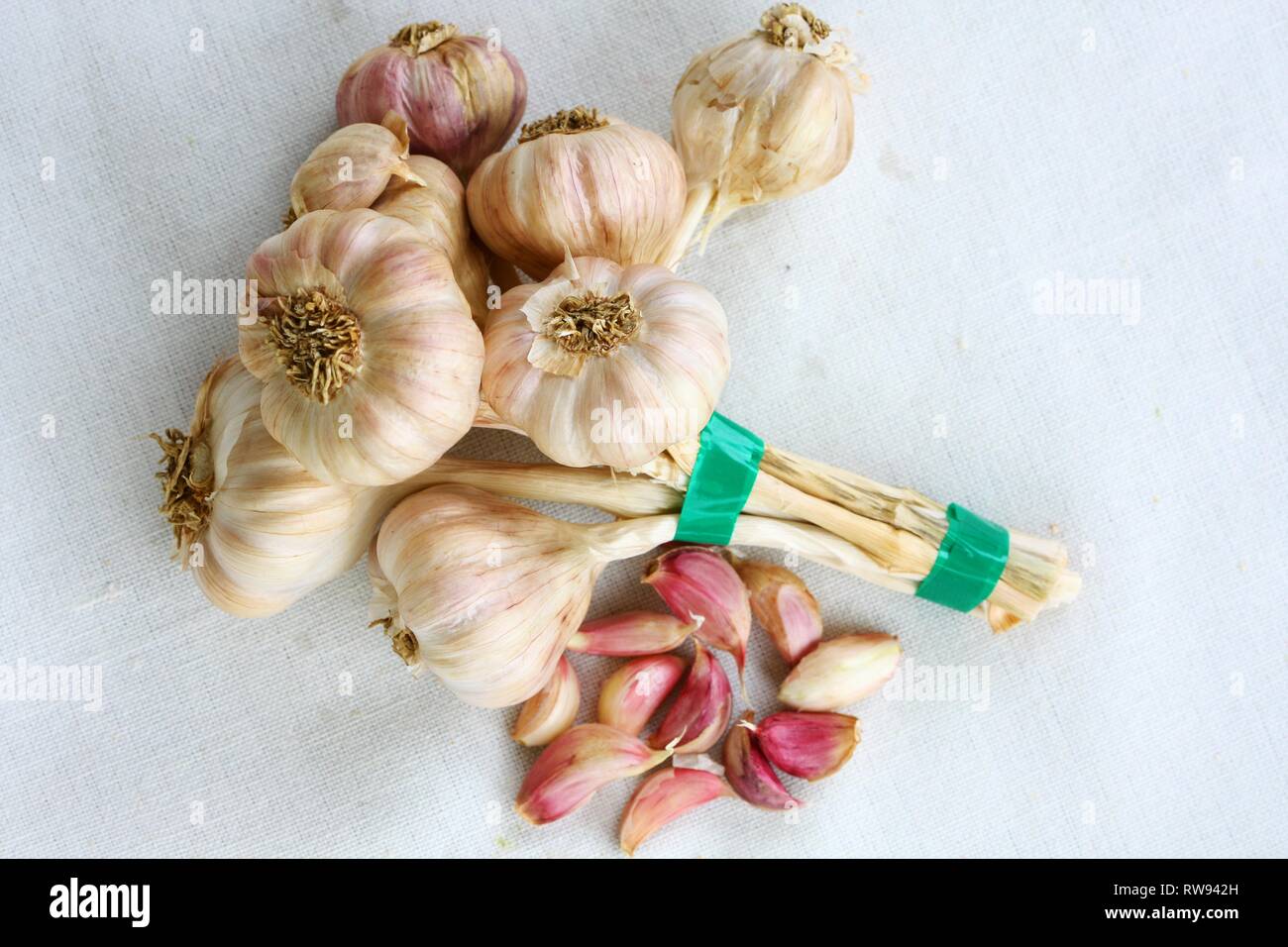 Bunch of garlic and garlic clove on white background Stock Photo
