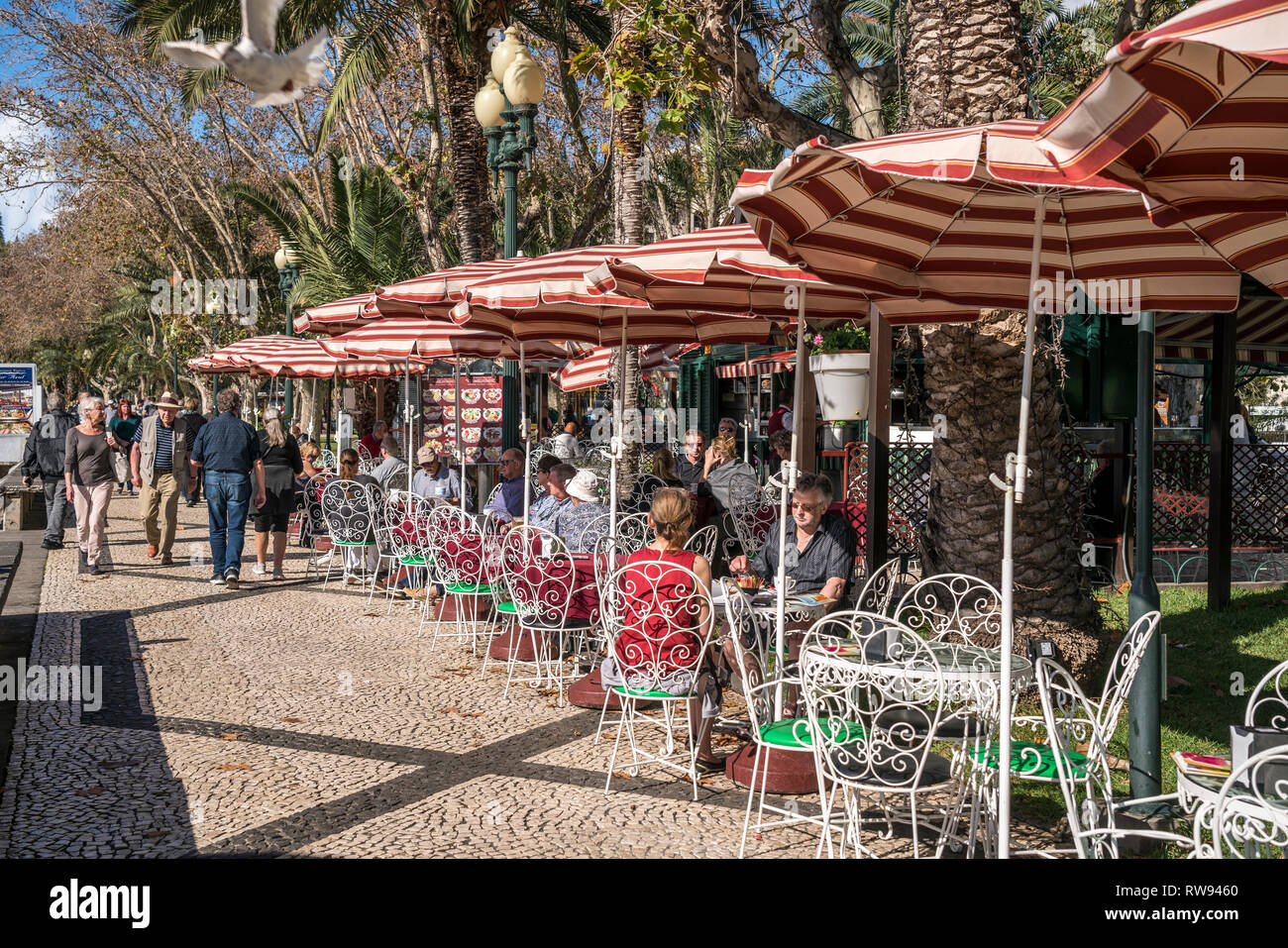 Cafe an der Parkanlage und Promenade Praca Do Povo, Funchal, Madeira, Portugal, Europa |  Cafe at the  Park and promenade Praca Do Povo, Funchal, Made Stock Photo