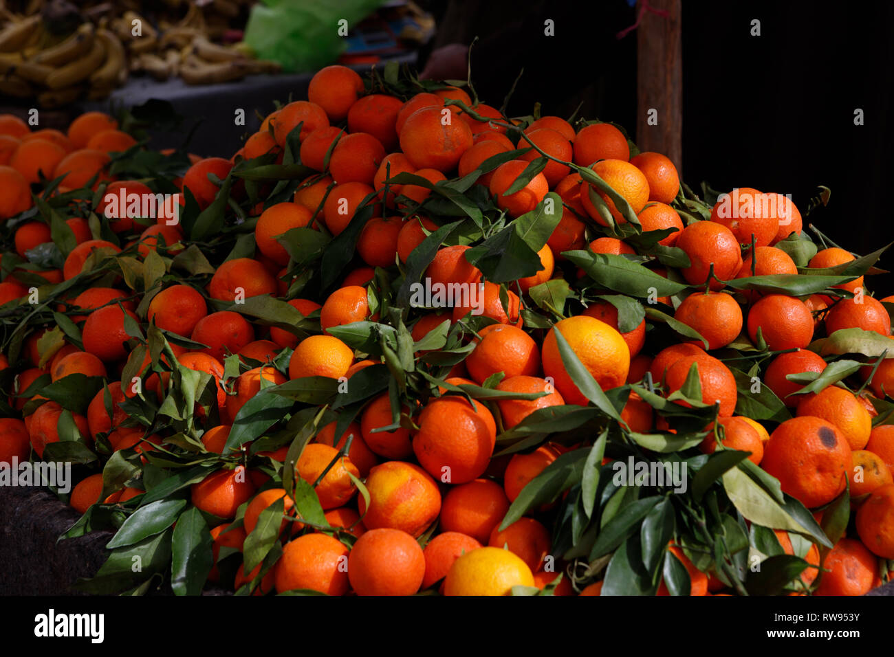 Colourful oranges in market in the old town hires stock photography