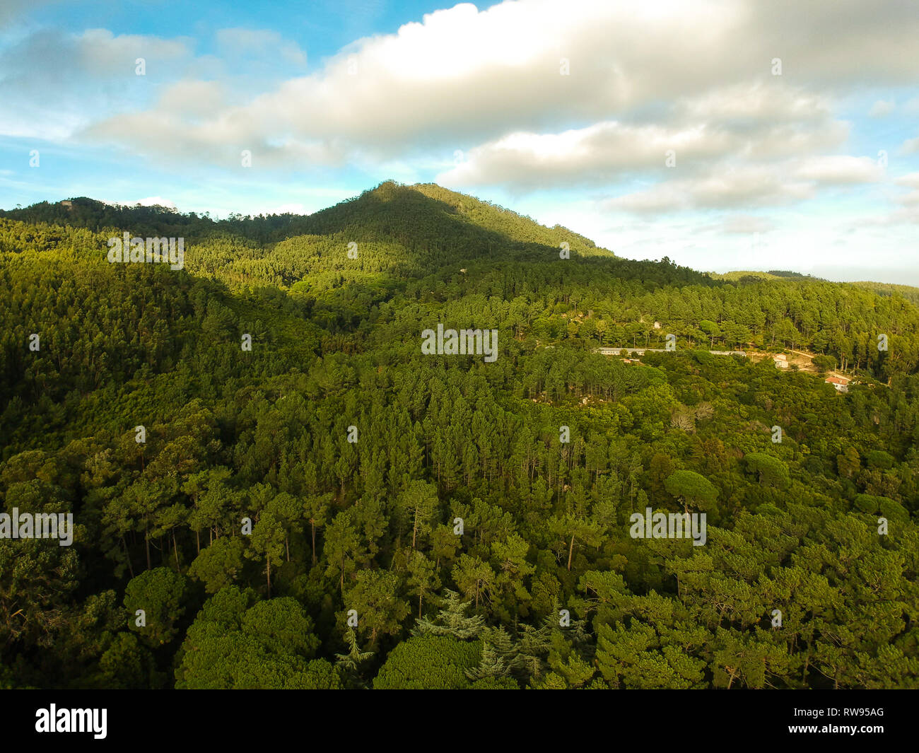 Aerial rural mountain top trees hi-res stock photography and images - Alamy