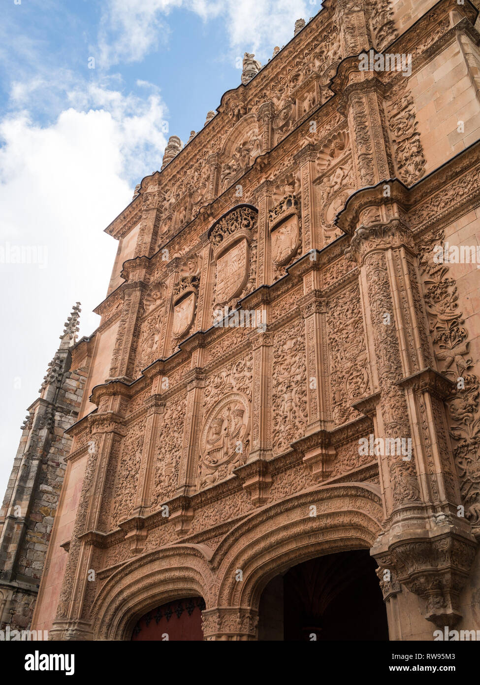 Detail of the stone carved facade above the doorway to the Esculeas Mayores of Salamanca University Stock Photo
