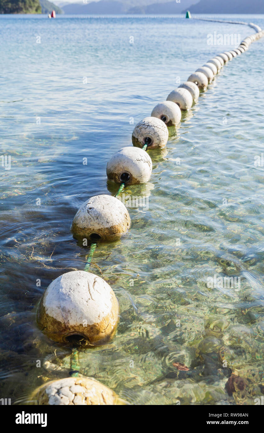 Closeup of dirty, white buoys sitting on top of waters edge. Stock Photo