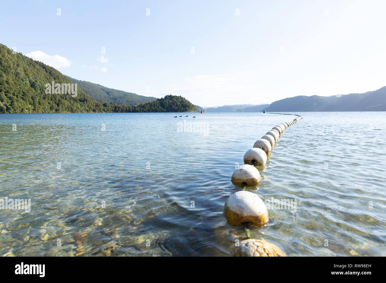 View of Lake Okataina and a line of buoys during sunset in New Zealand. Stock Photo