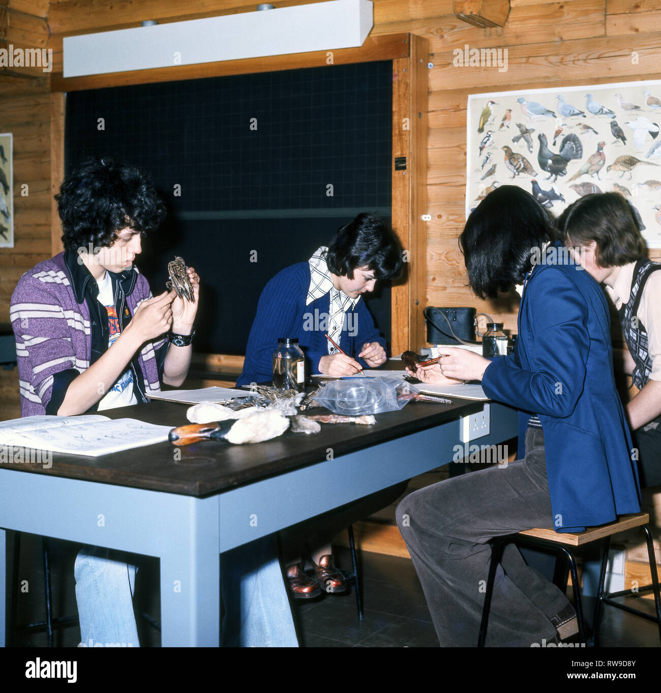 Field studies on Bird Biology by 6th form students.Wildfowl & Wetlands