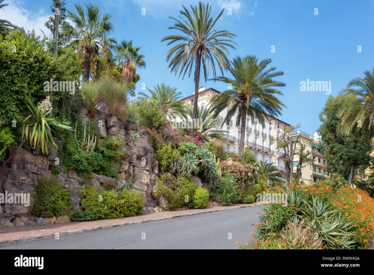 Beautiful plants and blooming flowers on both sides of the road Largo Nuvoloni in San Remo Stock Photo