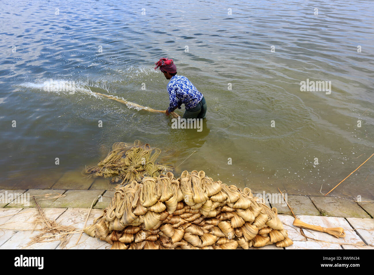 Farmer washing jute fibres in hi-res stock photography and images - Alamy