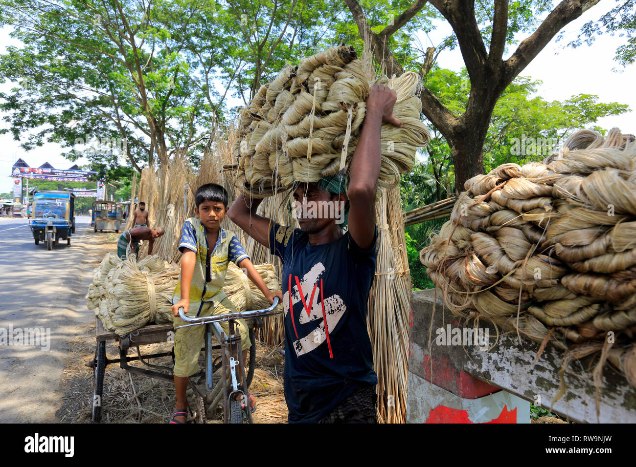 Drying jute fibers and jute stick beside a road in Faridpur, Bangladesh. Stock Photo