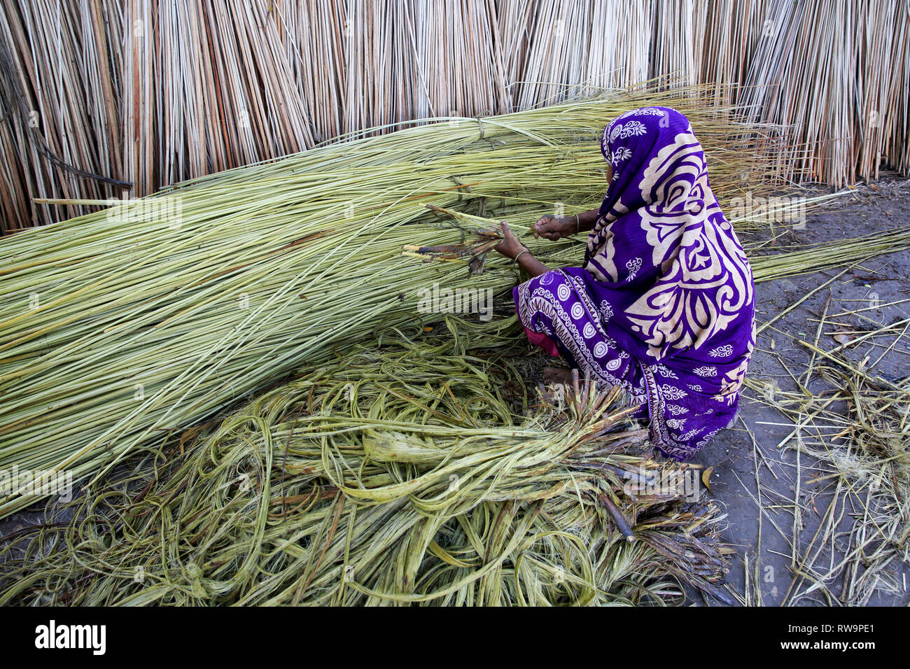 Bangladesh jute hi-res stock photography and images - Alamy