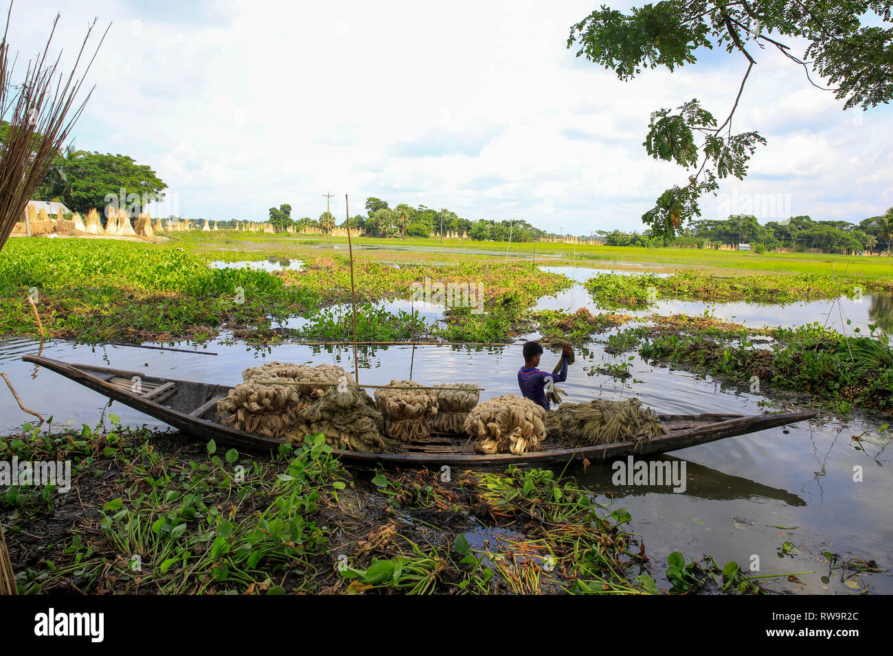 Farmer washing jute fibres in hi-res stock photography and images - Alamy