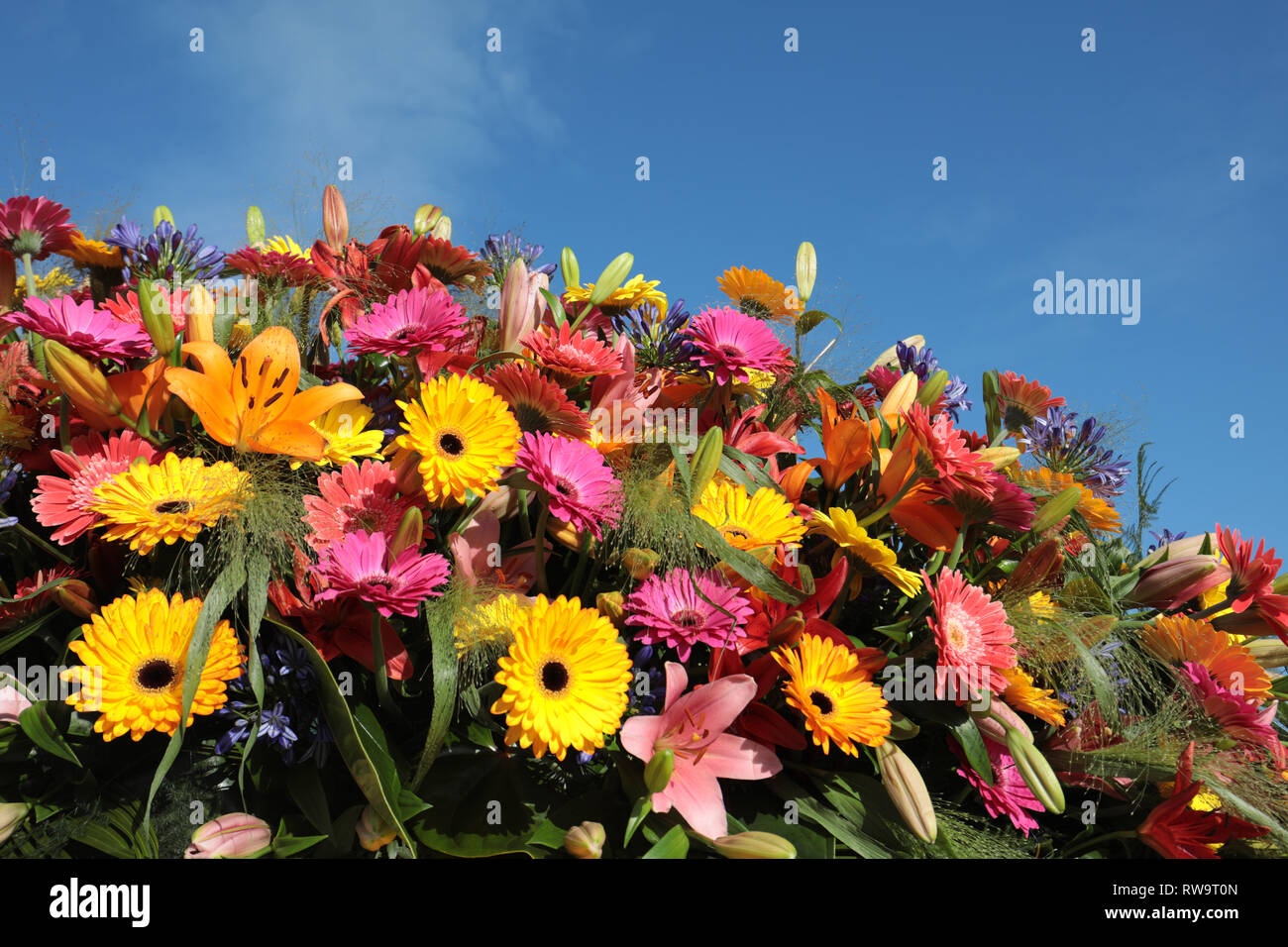 Floristic decoration with colorful gerberas and lilies against a blue sky Stock Photo