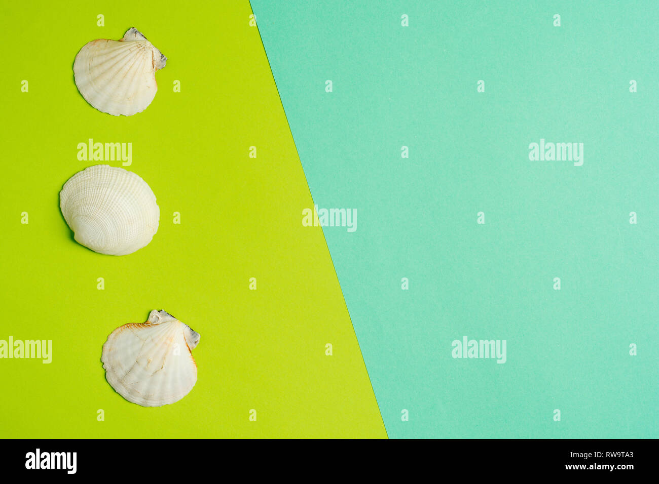 Summer holidays. Seashells on a light blue and green background. Sea souvenirs. Summer concept. Flat lay, top view, copy space. Stock Photo