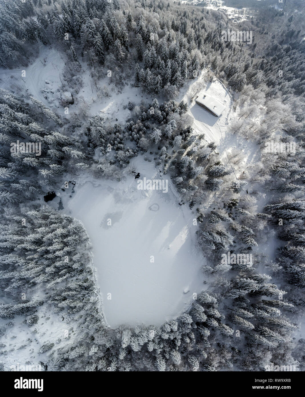 Aerial top down drone shot of a frozen winter lake and snow covered alpine forest. Stock Photo