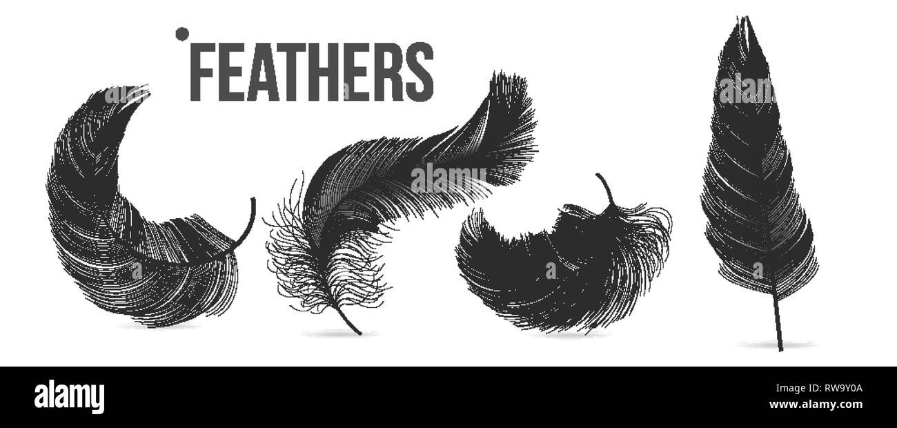 Black Feathers Set Vector. Different Falling Fluffy Twirled Feathers. Isolated Illustration Stock Vector