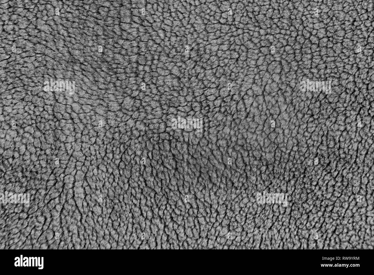 Wool hair Black and White Stock Photos & Images Alamy