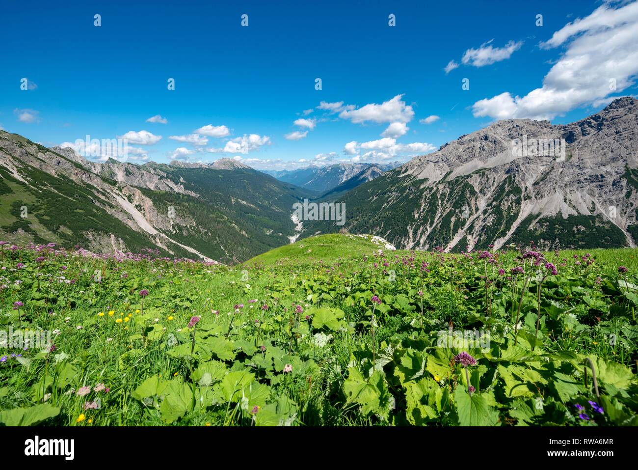 Allgauer Hochalpen Stock Photos Allgauer Hochalpen Stock Images