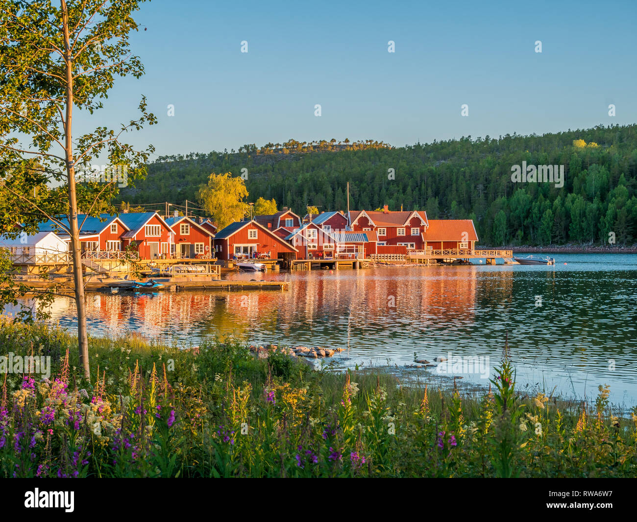 Swedish Archipelago in Norrfallsviken, High Coast area in north part of Sweden in summer. Stock Photo