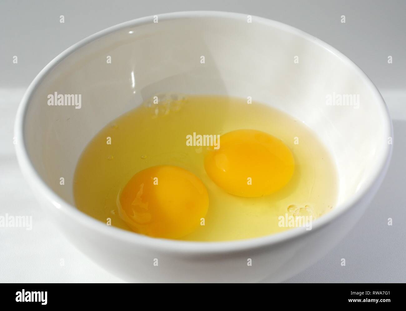 Two whipped eggs, egg yolk with egg white in a bowl, Germany Stock Photo
