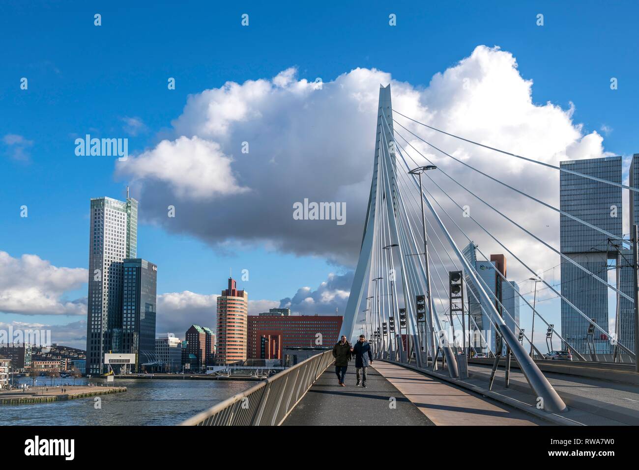 Erasmus bridge and skyscrapers, Rotterdam, South Holland, Netherlands Stock Photo