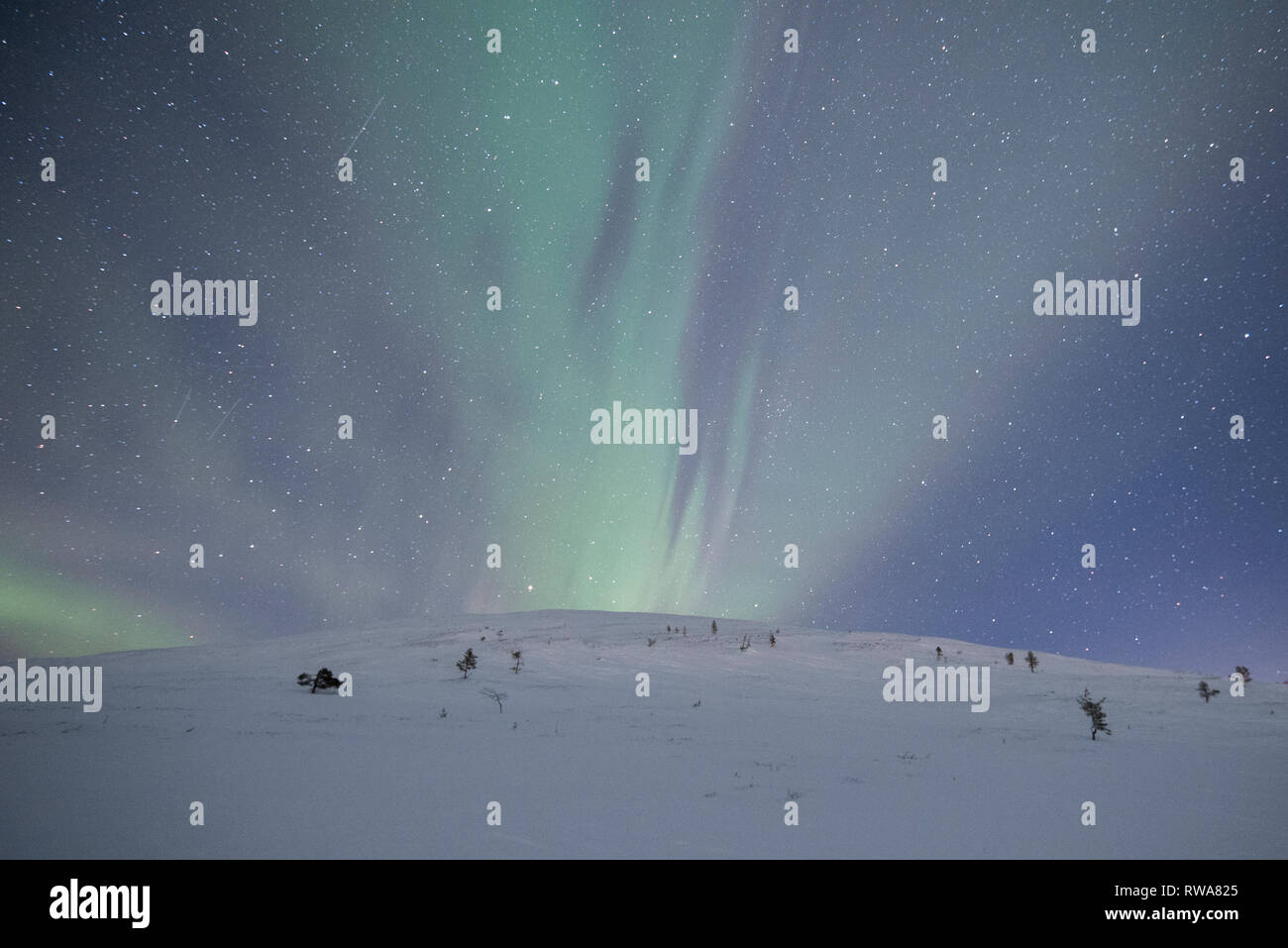 Northern Lights Seen In Muonio Lapland Finland Stock Photo Alamy Northern Lights Seen In Muonio Lapland Finland Stock Photo Alamy