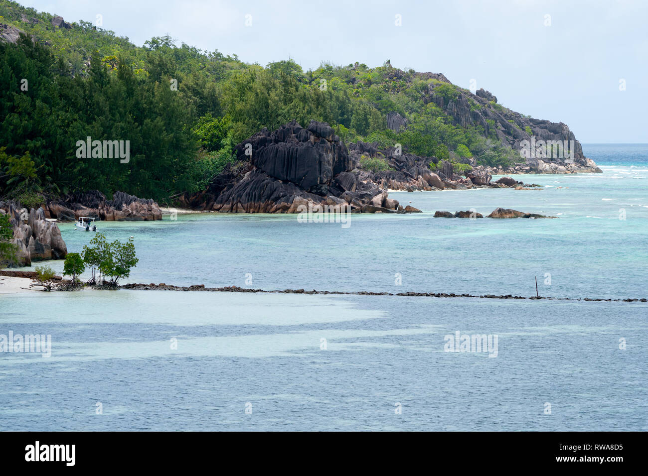 Curieuse Island is a small granitic island 1.13 sq mi (2.9 km2) in the Seychelles close to the north coast of the island of Praslin. Curieuse is notab Stock Photo