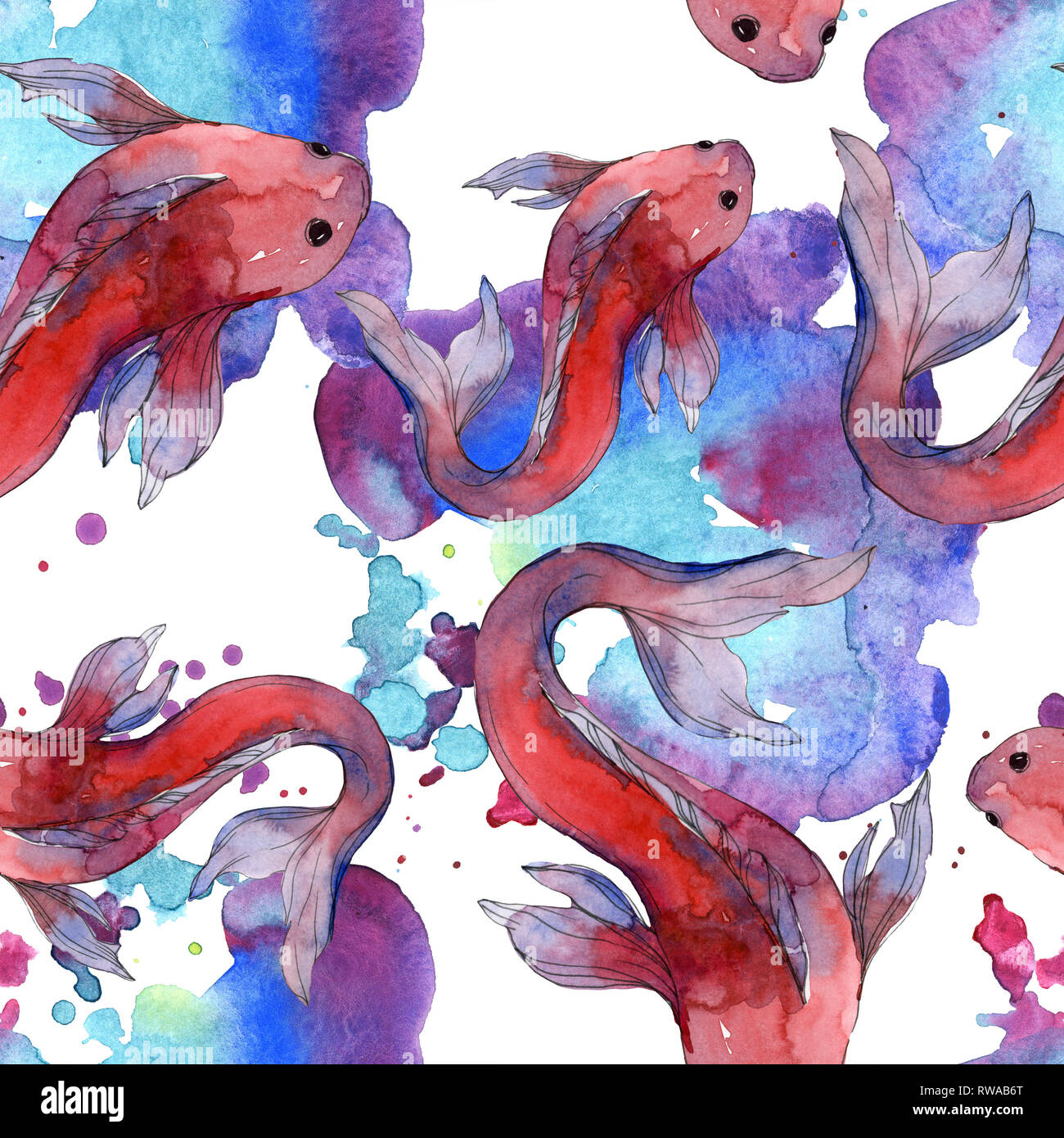 Aquatic fish set. Red sea and exotic fishes inside Goldfish