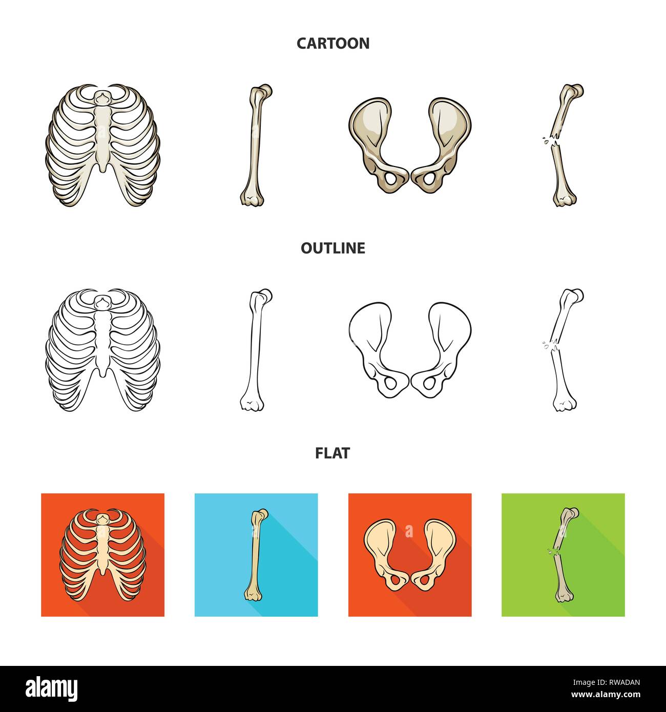 rib,hip,fracture,cage,broken,joint,pain,xray,fibula,pelvis,bias,body