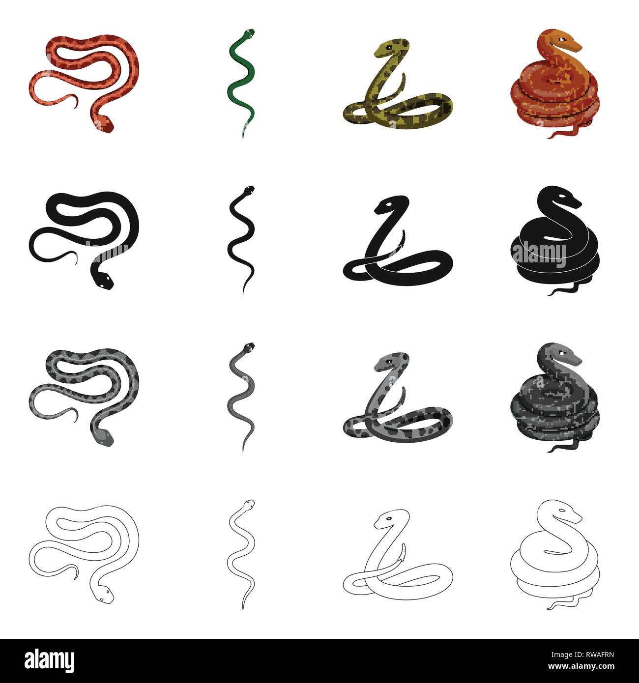 viper,snake,tail,python,forest,spiral,animal,seamless,green,jungle,jump ...