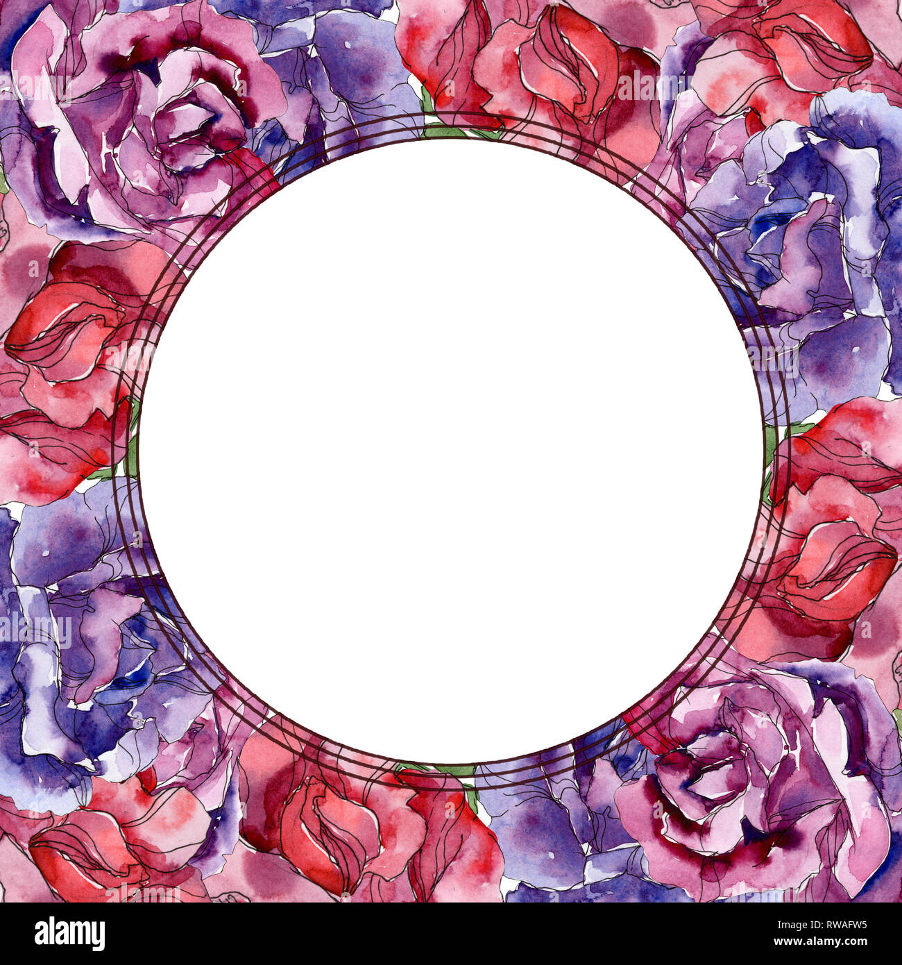purple-and-red-rose-floral-botanical-flowers-wild-spring-leaf