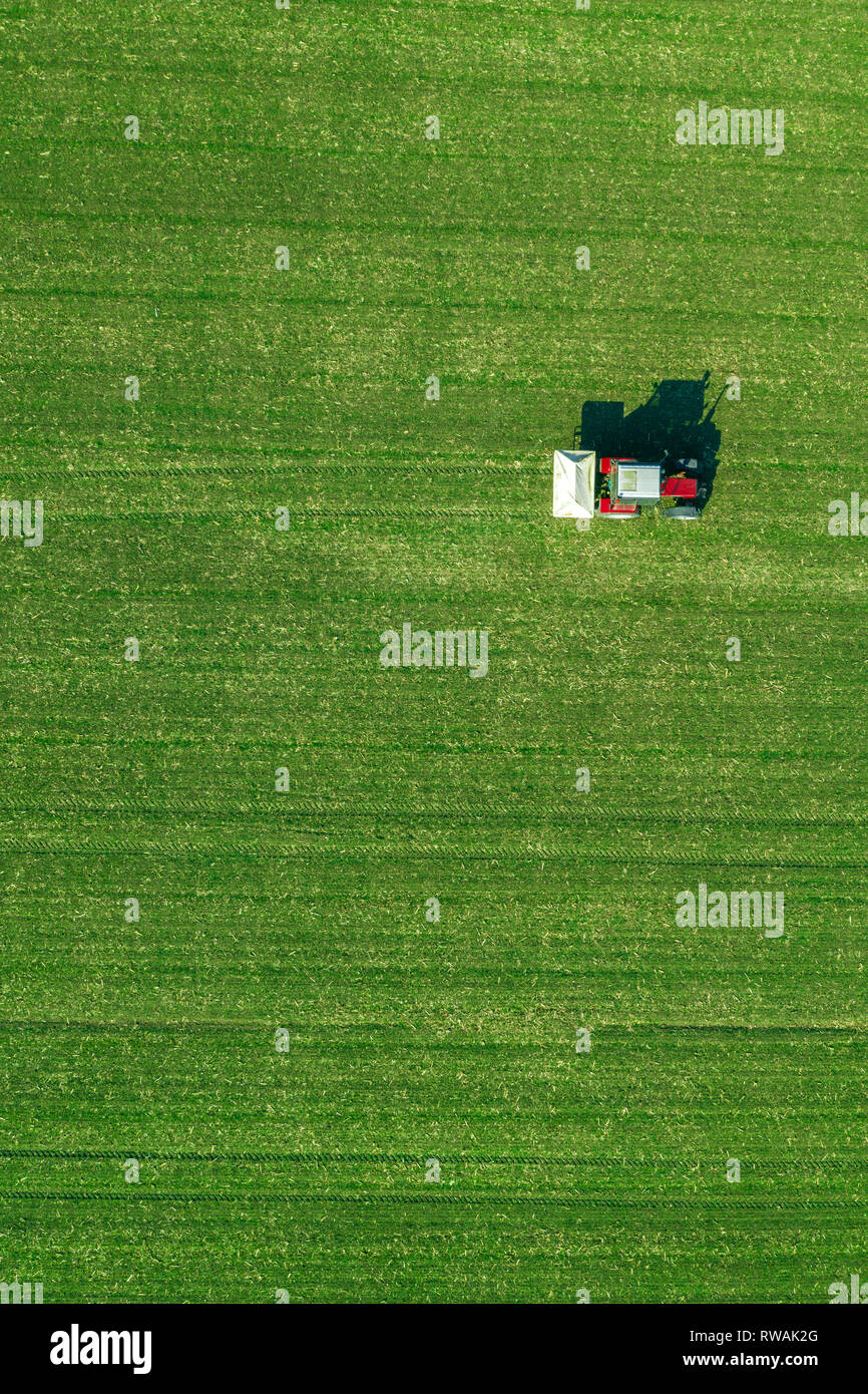 Agricultural tractor is fertlizing wheat crop field with NPK fertilizers, aerial view from drone pov Stock Photo