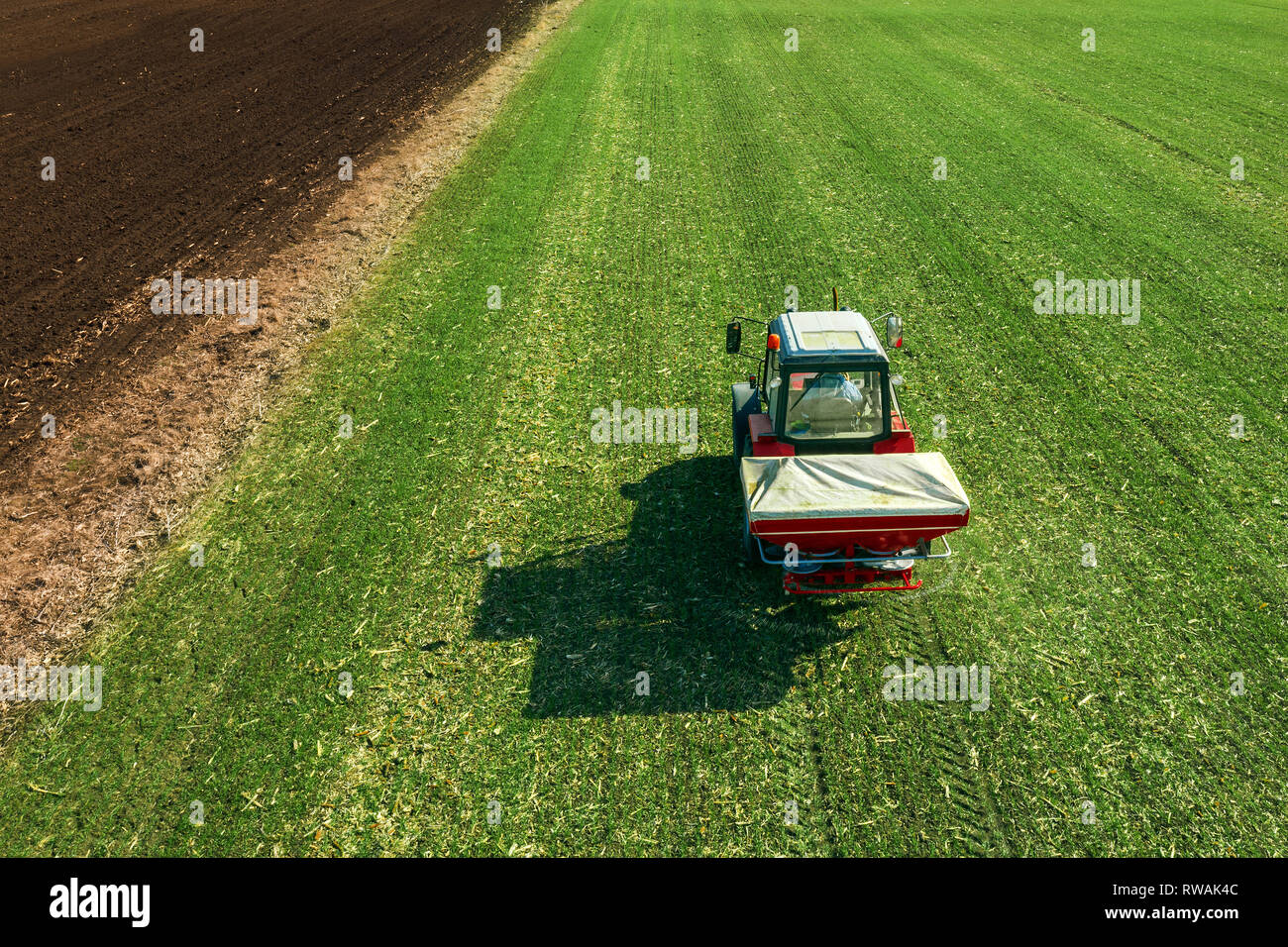 Unrecognizable farmer in agricultural tractor is fertlizing wheat crop field with NPK fertilizers, aerial view from drone pov Stock Photo