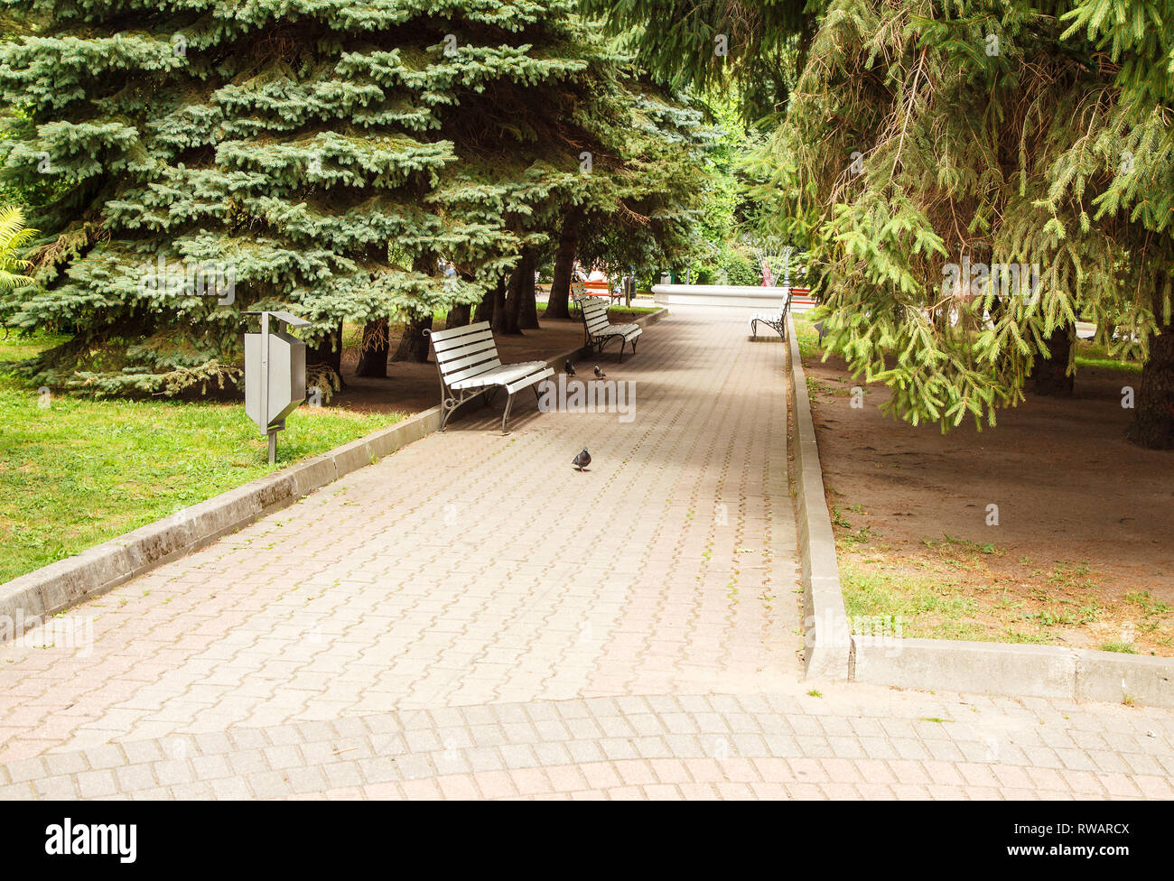 City park alley summer hi-res stock photography and images - Alamy