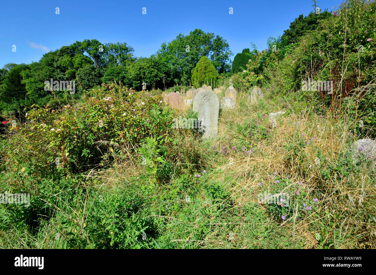 Boughton Monchelsea village, Kent, England. St Peter's Church yard Stock Photo Alamy