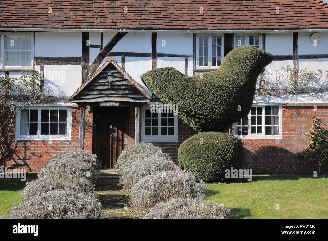 topiary and cottage in the large village of henfield in west sussex Stock Photo