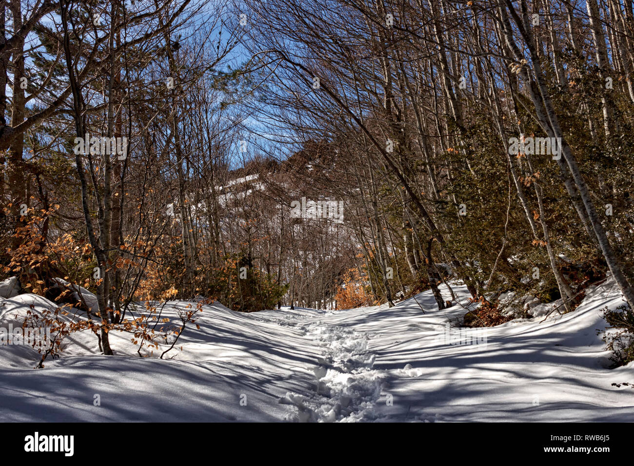 snowy landscape at pyrenees Stock Photo