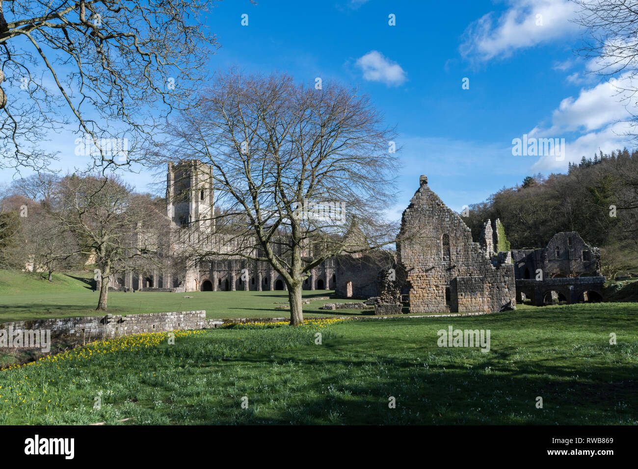 Fountains Abbey, Ripon North Yorkshire Stock Photo Alamy