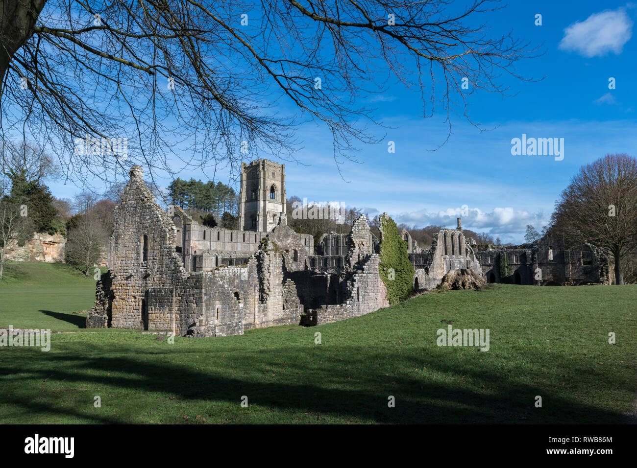 Fountains Abbey, Ripon North Yorkshire Stock Photo Alamy