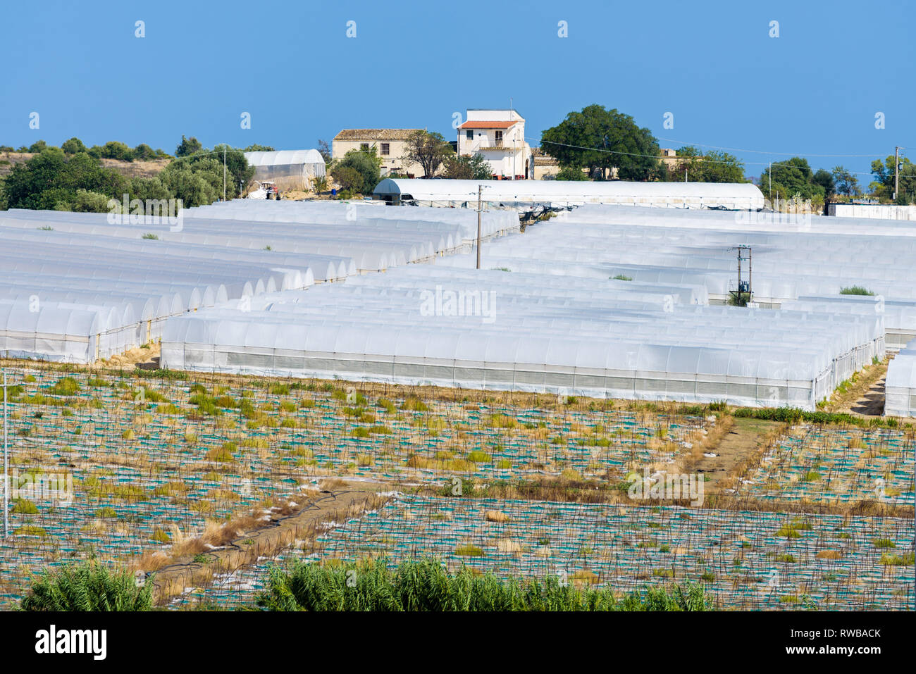 Rows of greenhouses of vegetables, especially Pomodoro di Pachino IGP, delicious cherry tomato from the south east of Sicily, Italy Stock Photo