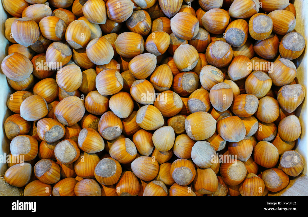 Dried hazelnuts in the shell at a farmers market Stock Photo Alamy