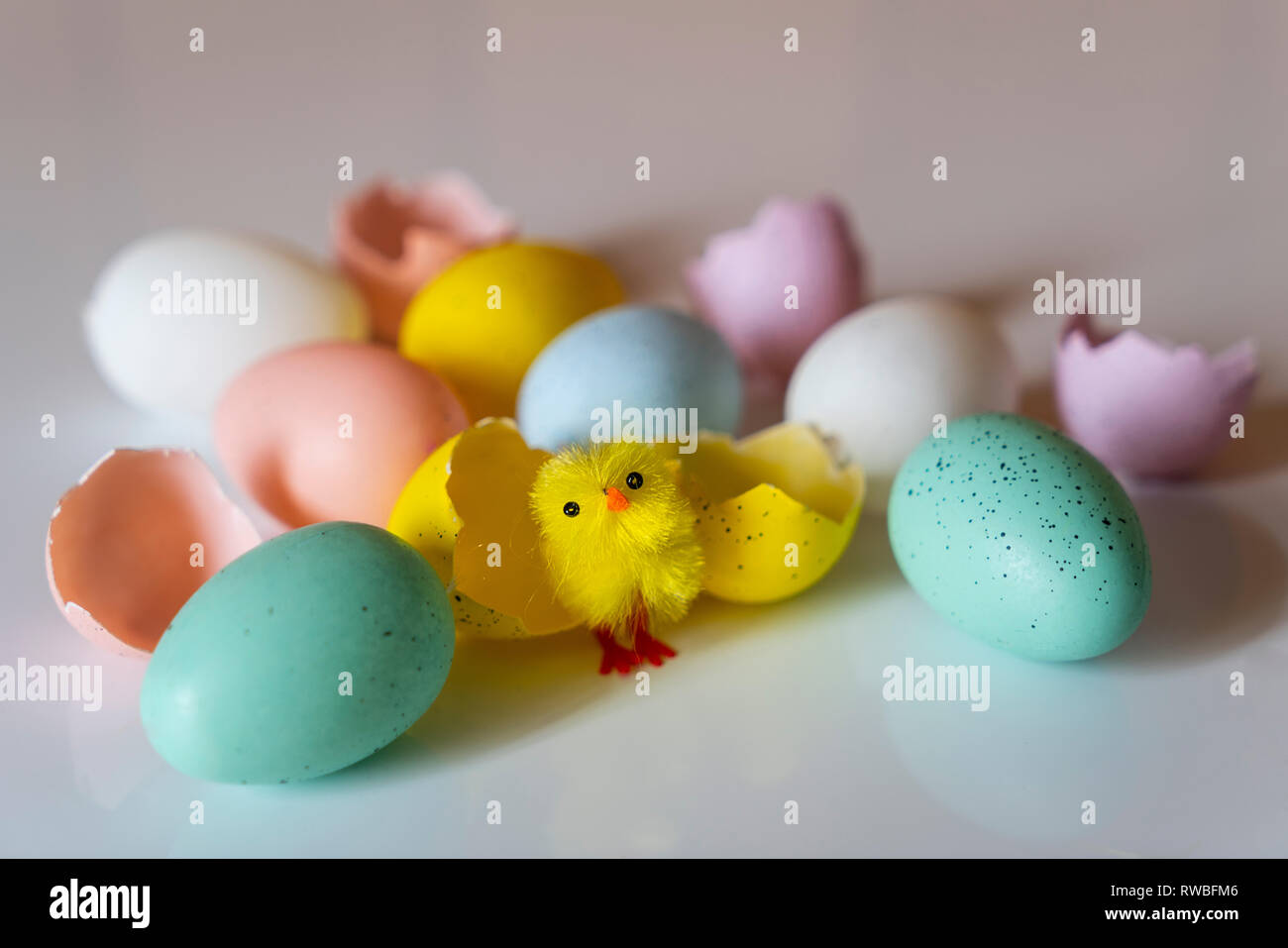 colored easter eggs with little chicks on a white surface Stock Photo