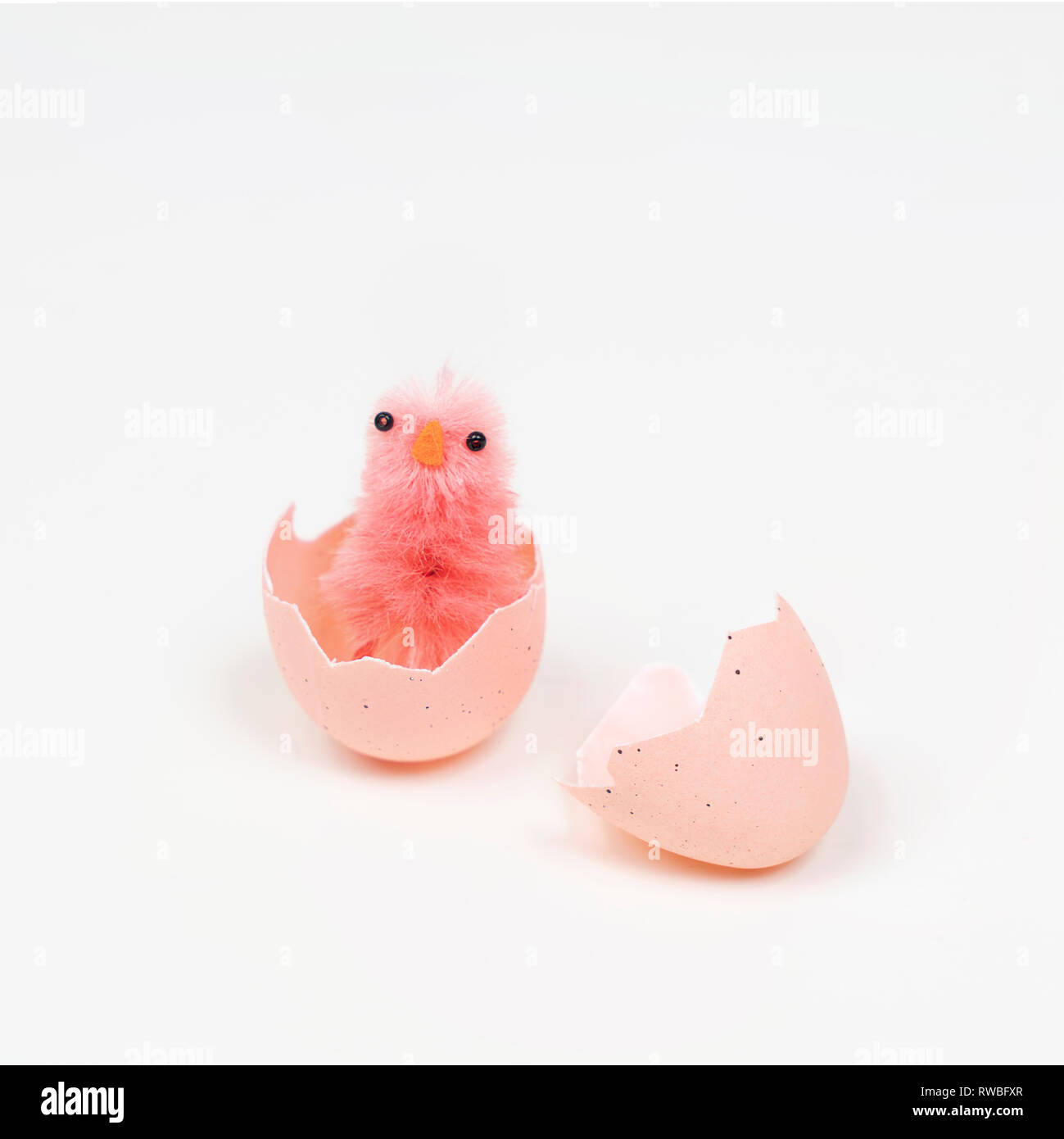 colored easter eggs with little chicks on a white surface Stock Photo