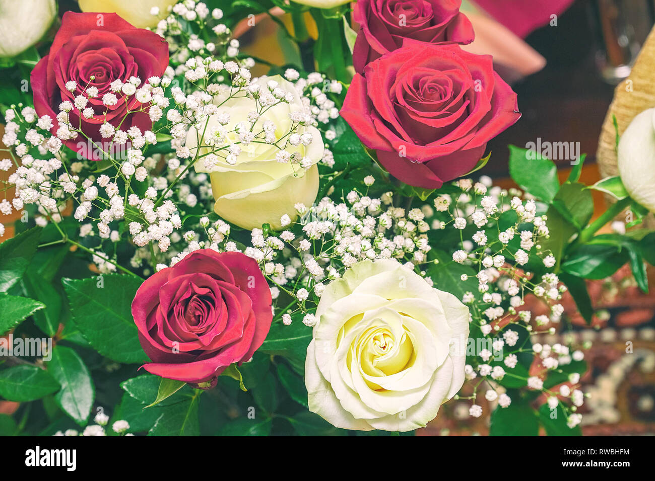 Bouquet of red and white roses Stock Photo Alamy