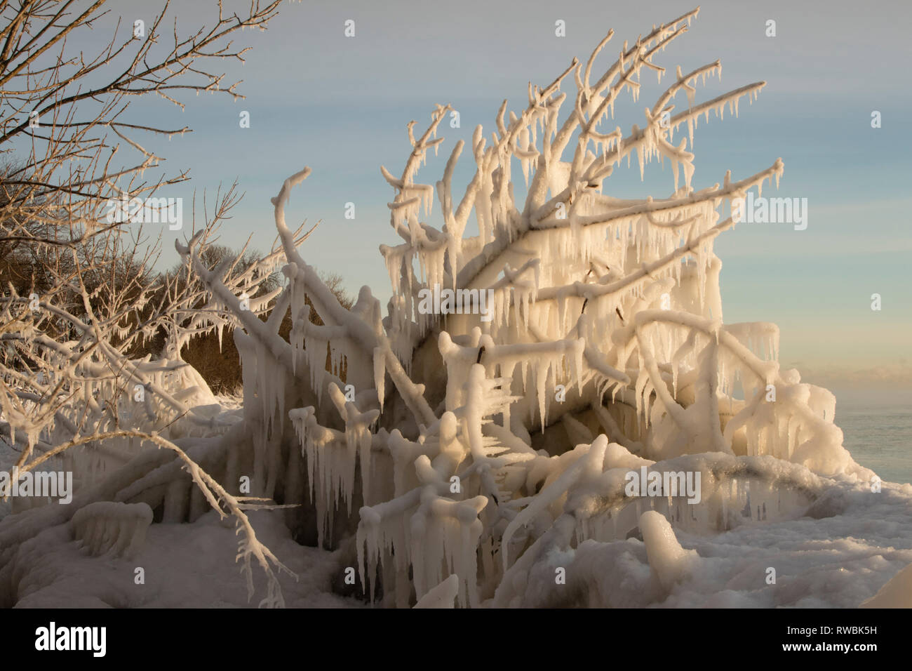 Ice Formation on Tree Along Lake Michigan Coast.  Milwaukee, WI. February 2018 Stock Photo