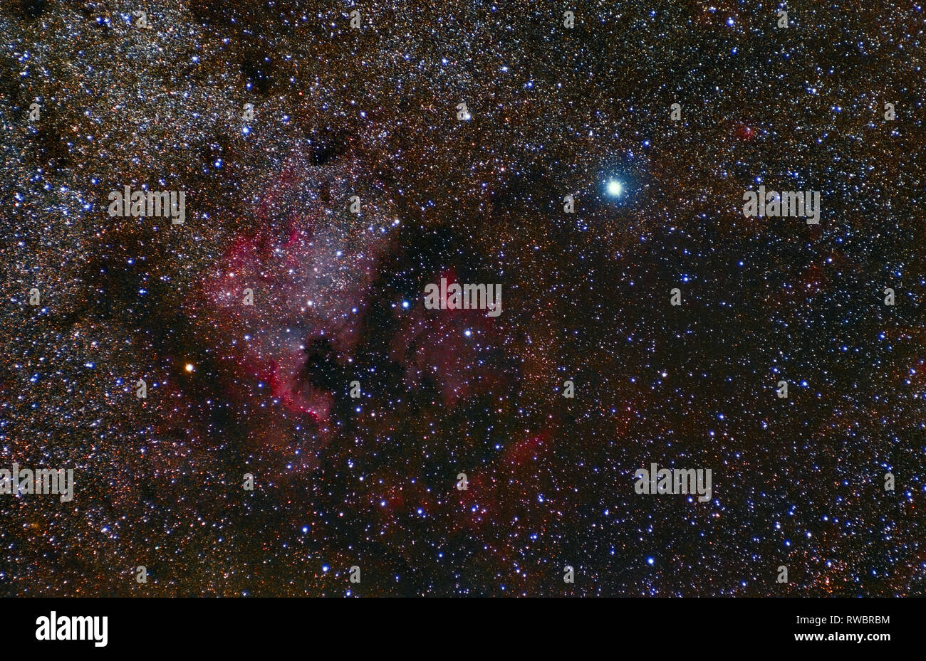 North America Nebula. Cygnus Constellation. Deneb. Telescope astrophotography. Stock Photo