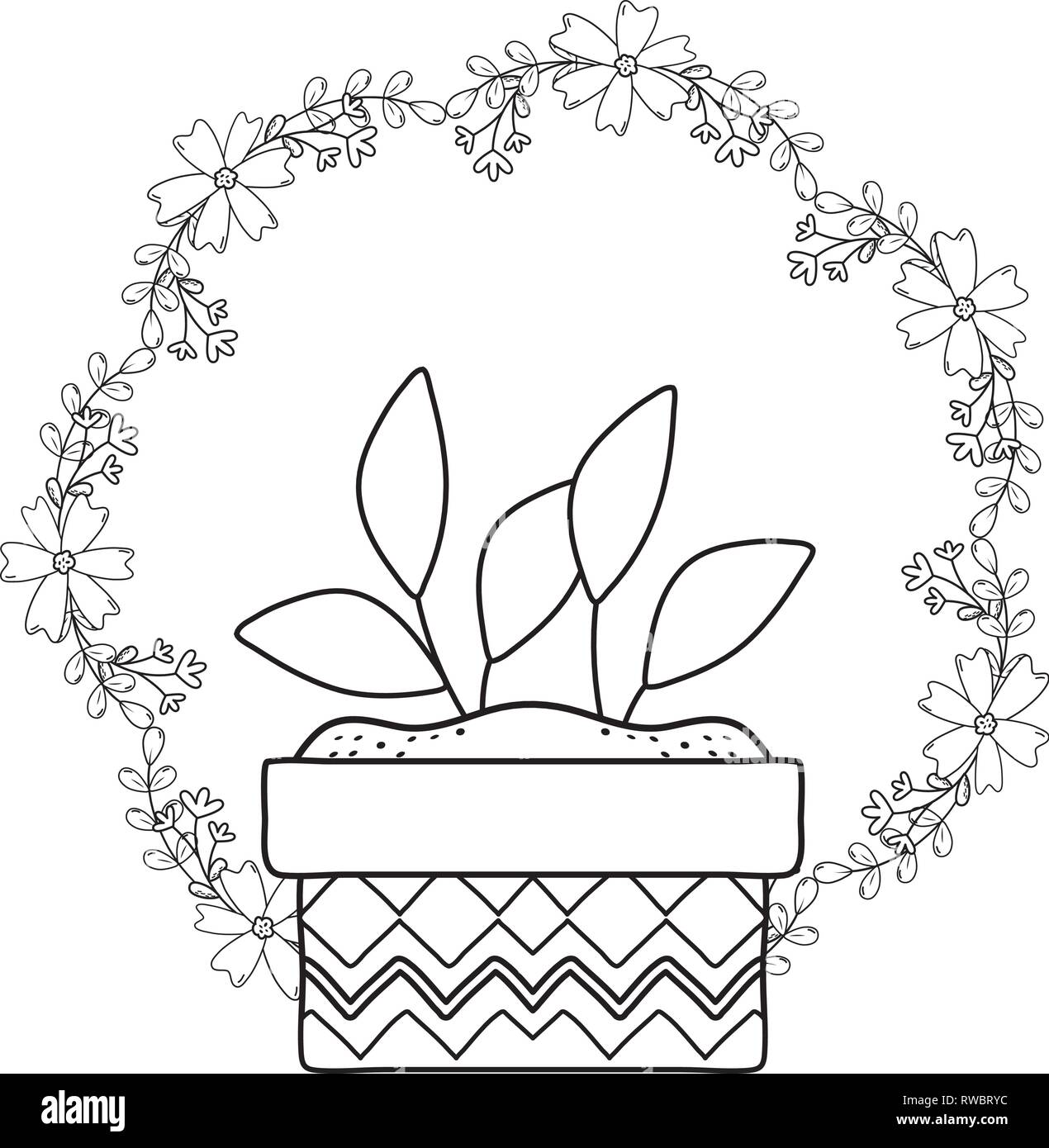 beautiful plant in ceramic pot Stock Vector Image & Art - Alamy