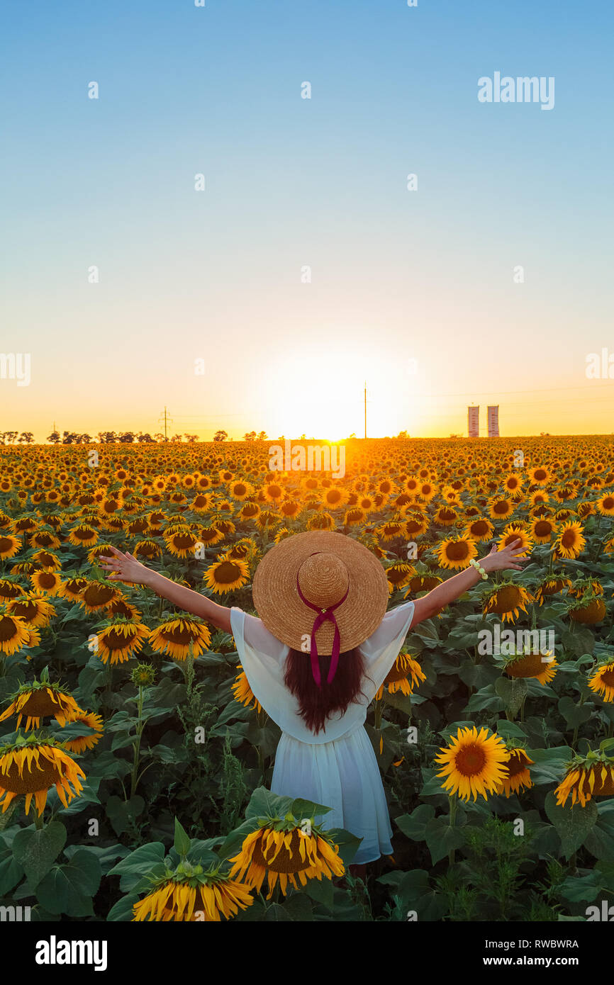 Young girl in white dress and straw hat stay at the sunflowers field and rising hands to the blue sky. Sunflowers vertical sunset landscape in Krivoy  Stock Photo