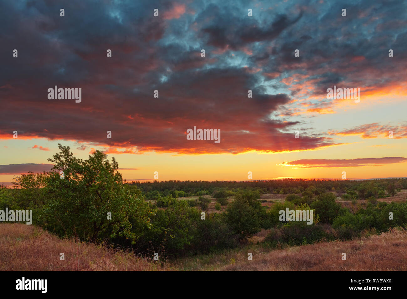 Magic sunset over the green steppe trees. Sunset at steppe. Summer beautiful sunset. Beautiful clouds over the ground Stock Photo