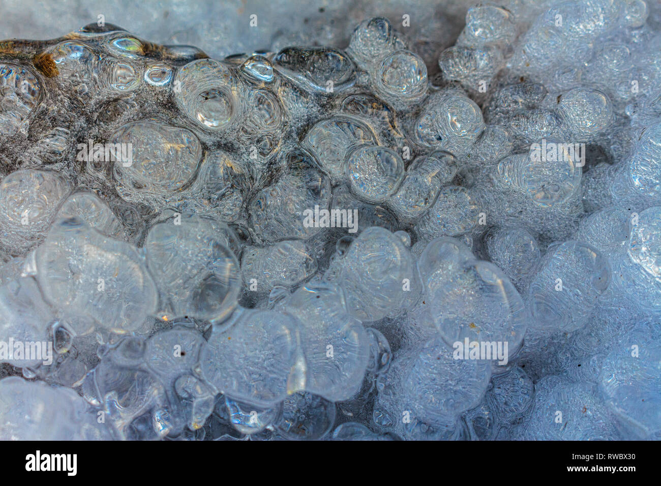 Ice bubbles with many air bubbles inside. Frozen water drops close-up. Figured ice macro photography. Stock Photo