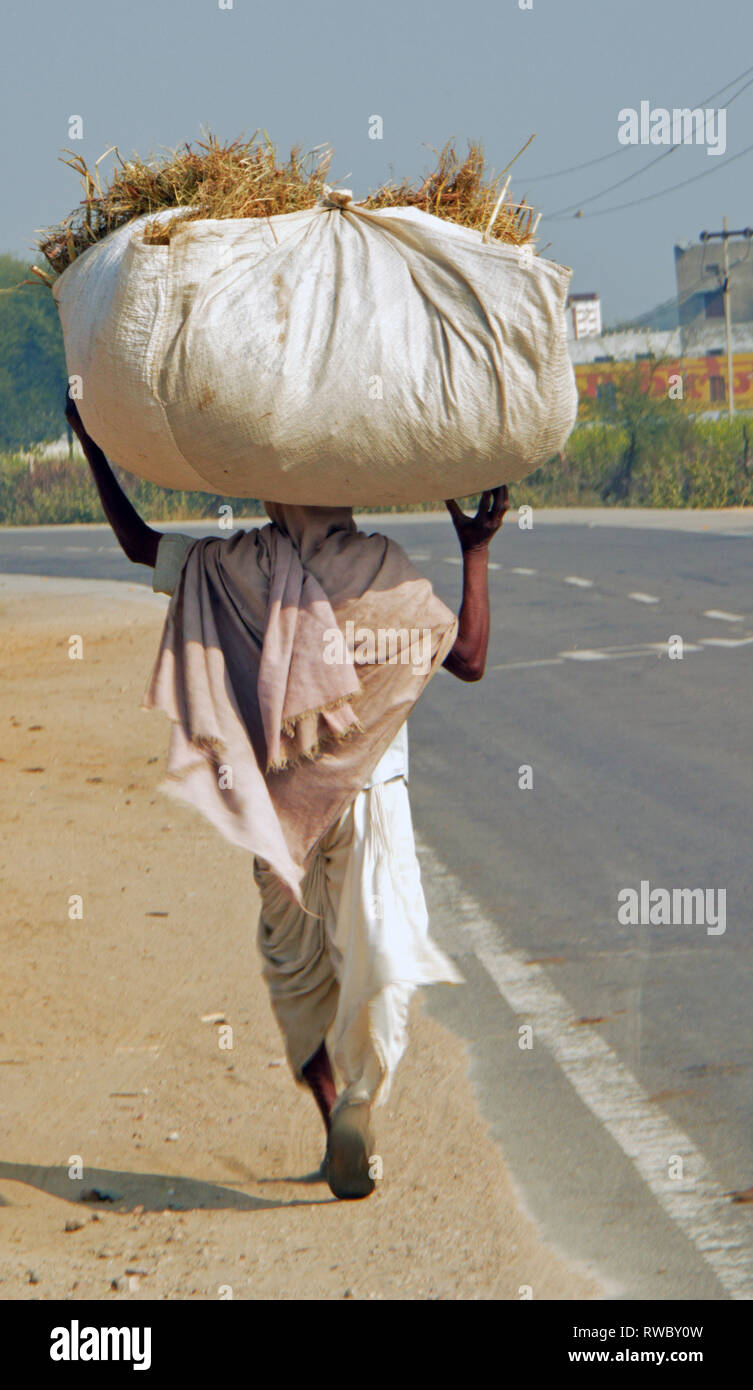 A woman walks on the roadside in northern India in the state of Rajasthan - on her head she carries a big bale of hay, taken on 01.02.2019 | usage worldwide Stock Photo